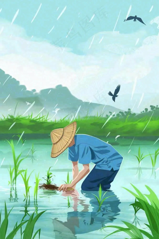 春耕农民种植水稻水田春雨燕子小满芒种春分卡通插画背景(896x1344)