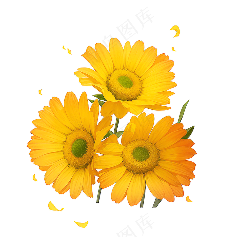 黄色向日葵花朵免抠素材24