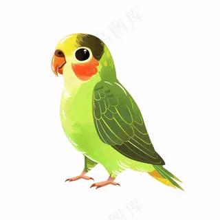 绿色鹦鹉鸟动物卡通插画免抠