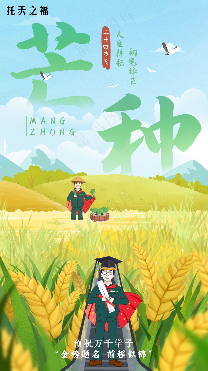 芒种节气海报psd模版下载