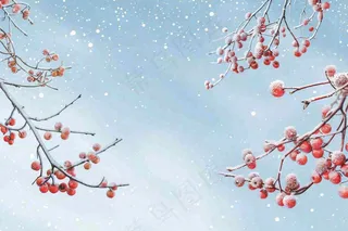 冬天白雪覆盖的红色果实白霜霜降小雪大雪水彩插画背景