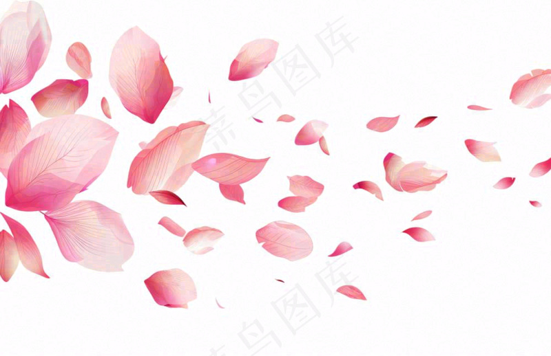 粉色花瓣飘落免抠(1360x880)