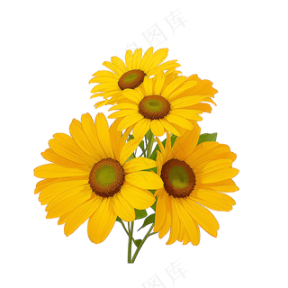 黄色向日葵花朵免抠素材4