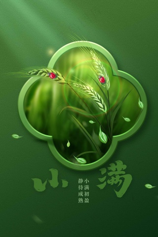 小满节气传统海报