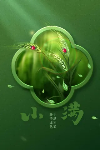 小满节气传统海报