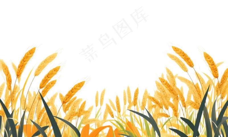 秋季小麦麦穗稻谷麦穗手绘卡通插画免抠(1408x848)