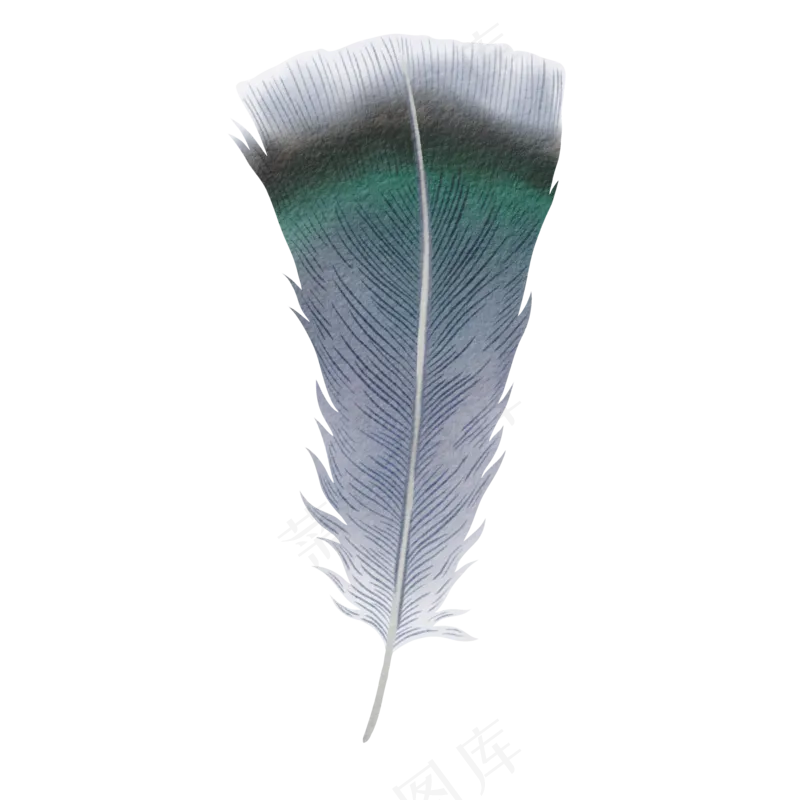 水彩羽毛免扣