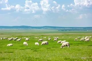 春天草原牛羊内蒙摄影图