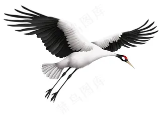 仙鹤国风插画免抠