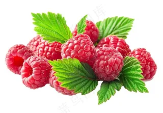 树莓水果摄影图免抠