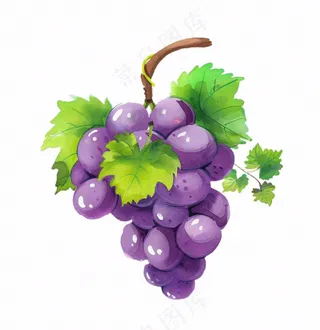 紫葡萄水果水彩插画免抠