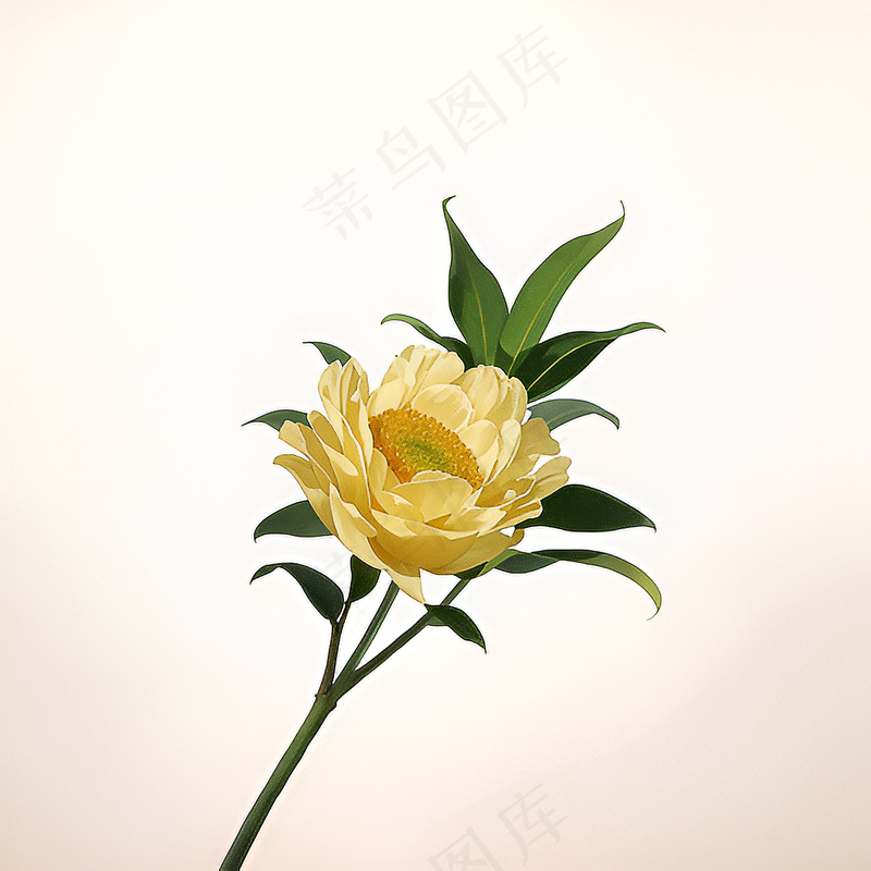 白色黄色手绘新中式风格花植物181