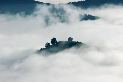 云雾森林图片 云雾森林图片