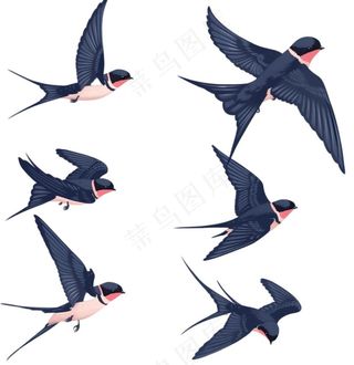 大雁燕子春天鸟元素卡通插画免抠