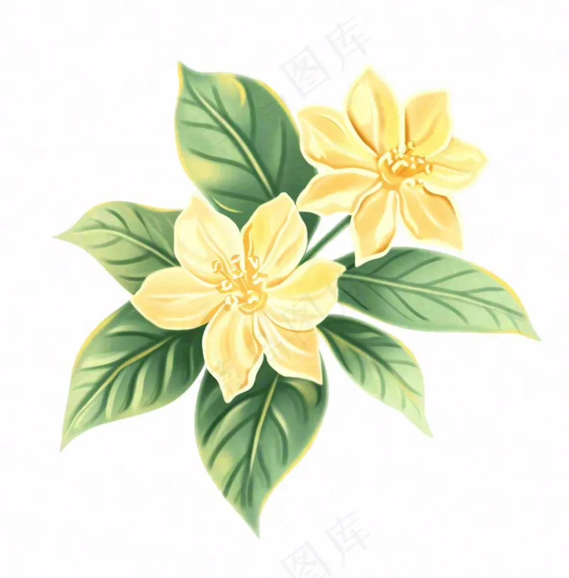 黄花桂花金秋绿叶卡通插画免抠(1024x1040)