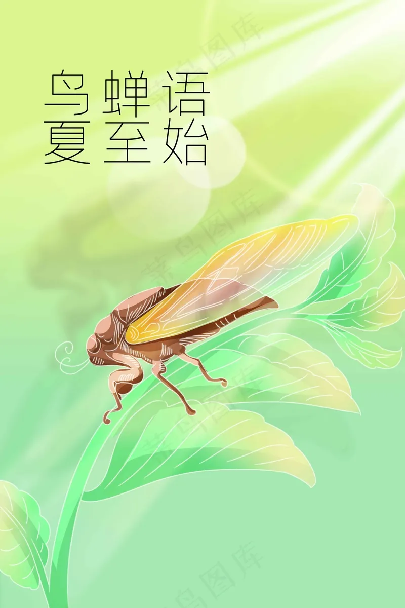 夏至节气传统活动海报