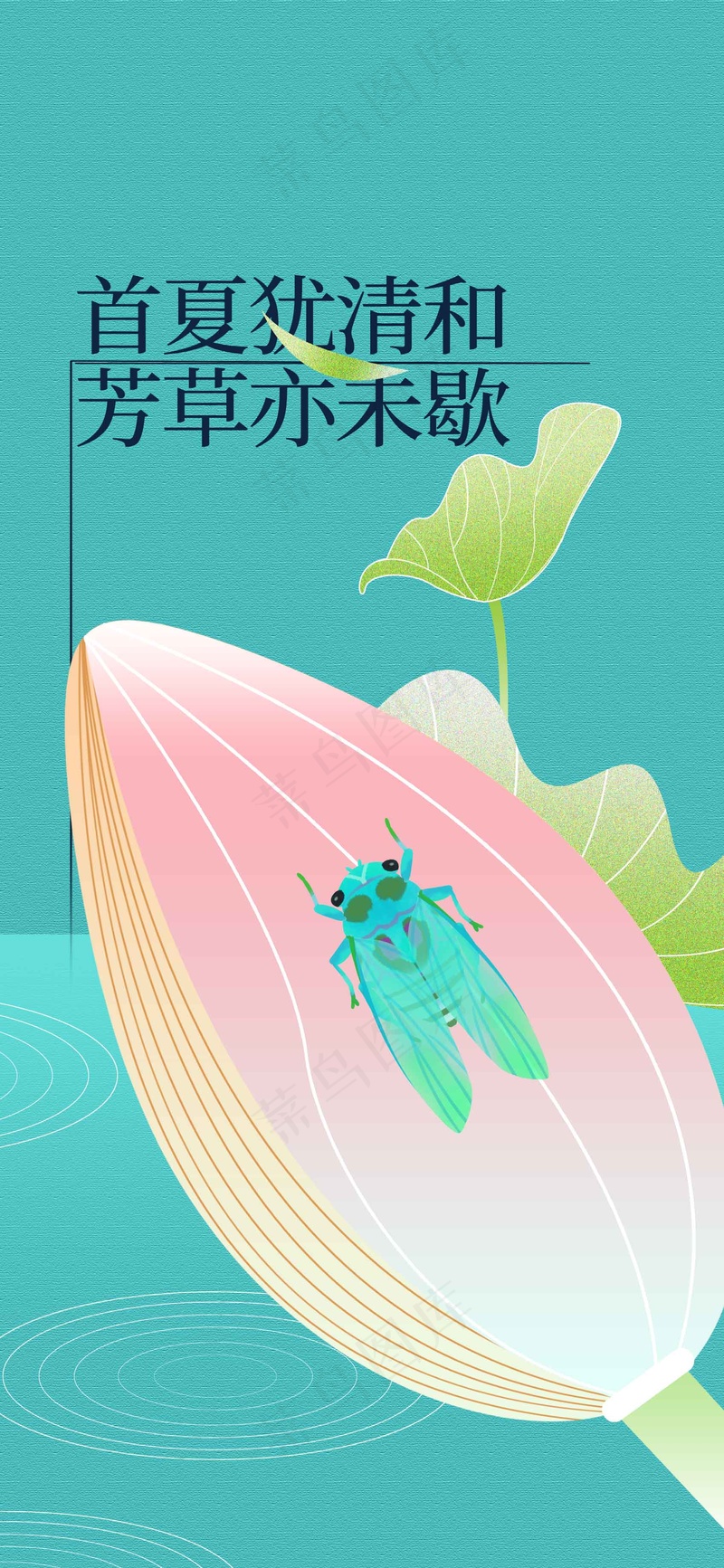 简约插画立夏节气海报