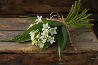 白花花朵鲜花绿叶花束摄影图