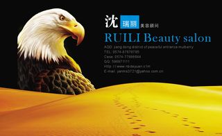 白头鹰沙漠印记各行业名片模板psd102