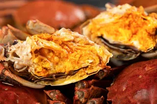 大闸蟹蟹黄美食