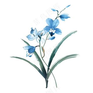 兰花水墨画中国风彩绘插画免抠