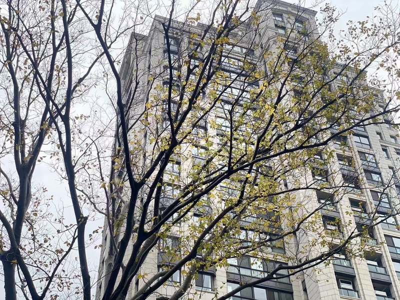 生活中的美景
