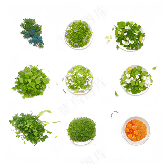 手绘练习小植物花草系列42