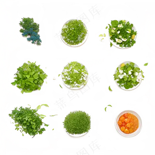 手绘练习小植物花草系列42