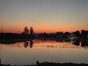 黄昏/夕阳/日落/田园风光/倒影