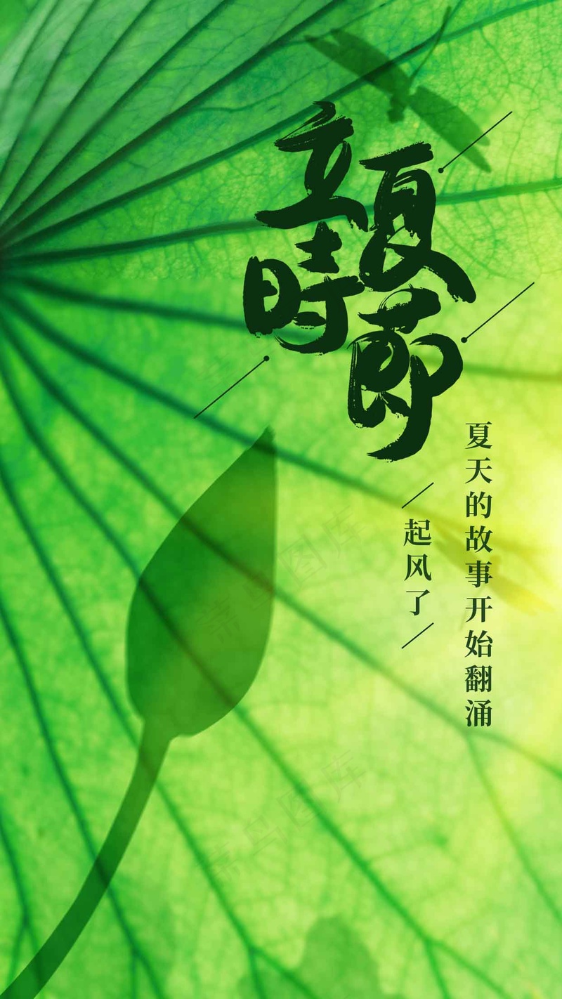 立夏节气海报psd模版下载