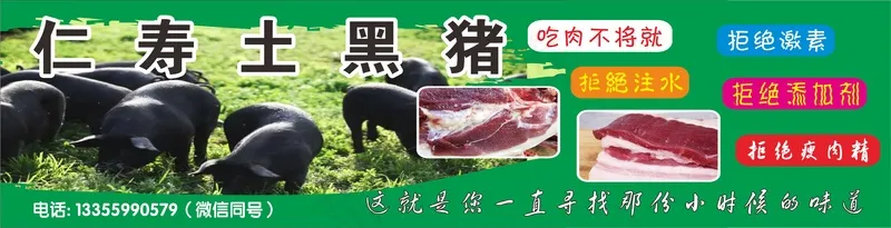 仁寿土黑猪cdr矢量模版下载