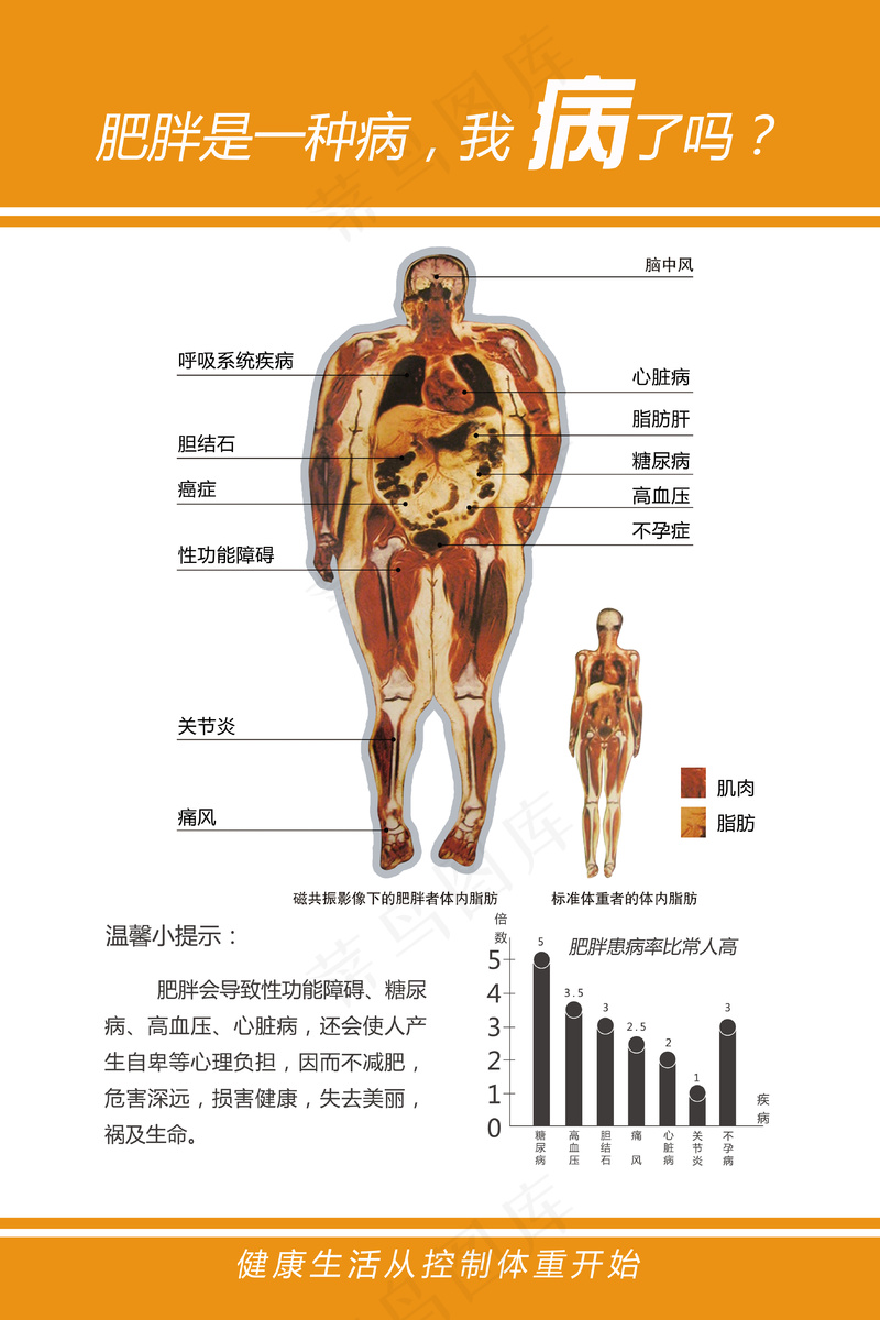 减重-健康风险psd模版下载