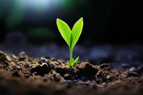 春天破土的嫩芽土壤立春摄影图