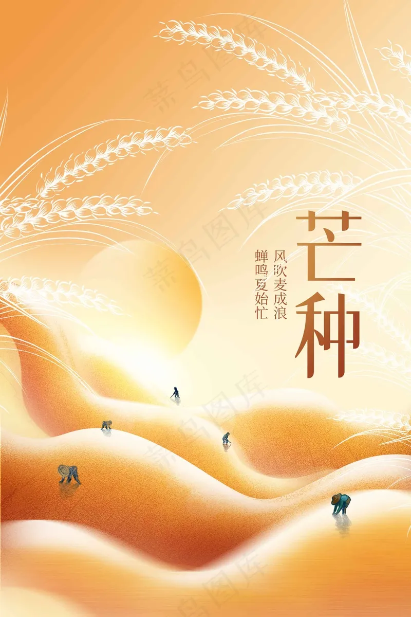 芒种节气传统活动海报psd模版下载