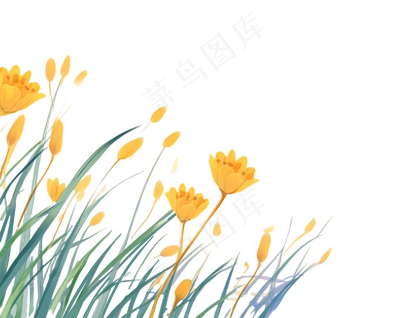 春天花丛草丛卡通插画免抠(1248x976)