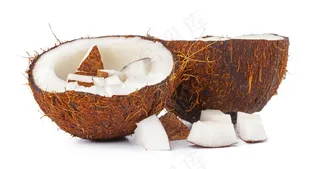 椰子 (12)白底图