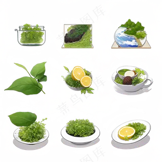 手绘练习小植物花草系列51