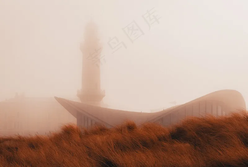 云雾森林图片