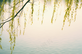 春天柳树抽新芽绿色湖水摄影图