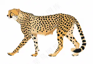 猎豹豹纹动物卡通插画免抠
