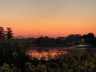 油菜花/黄昏/夕阳/日落/田园风光/倒影/房屋