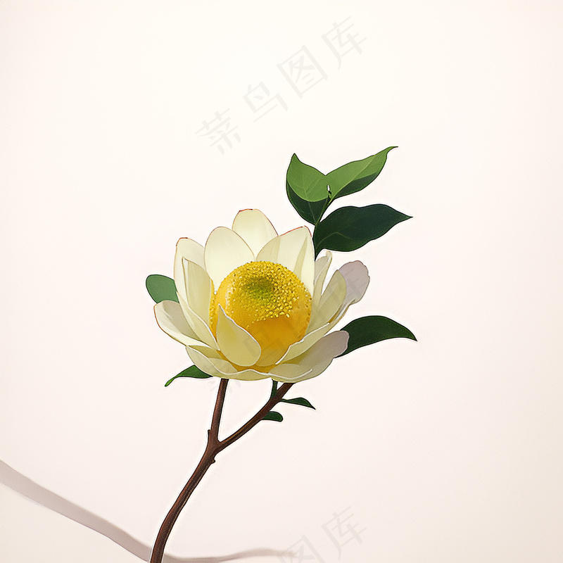 白色黄色手绘新中式风格花植物89