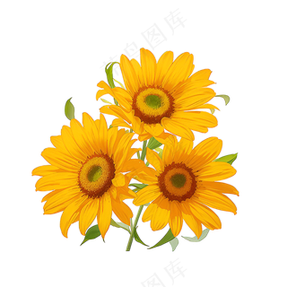 黄色向日葵花朵免抠素材19