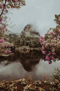 湖光山色间的粉色梦境