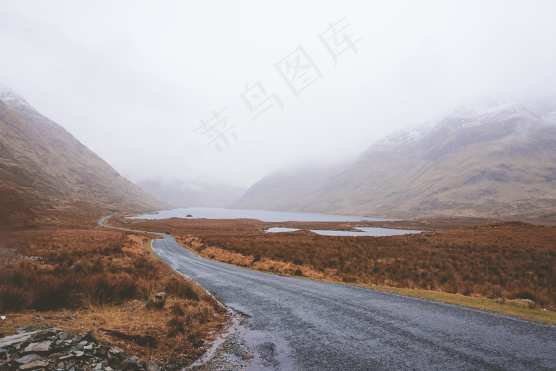 云雾森林图片
