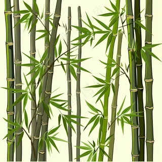 竹子竹叶卡通插画背景