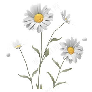 免抠白色小雏菊