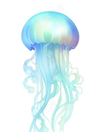 水母海洋海鲜蓝紫色梦幻卡通插画免抠