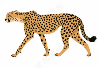 猎豹豹纹动物卡通插画免抠
