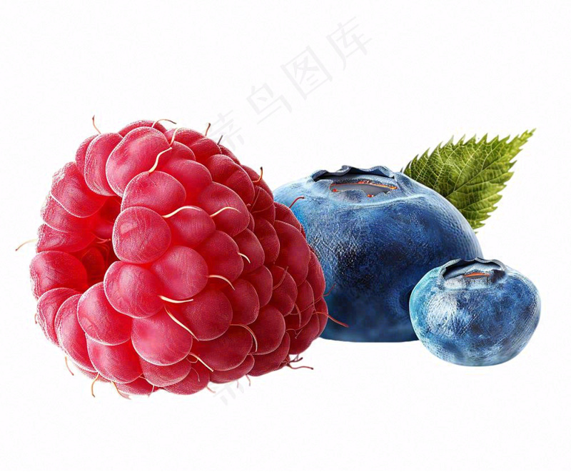 树莓蓝莓水果实物免抠